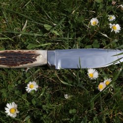 Poľovnícky nôž - čepeľ N690, rúčka nitovaná a lepená - antikor a paroh. Pošva : morená hovädzia hladenica, dĺžka noža 25cm
